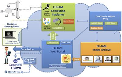 Small Animal Shanoir (SAS) A Cloud-Based Solution for Managing Preclinical MR Brain Imaging Studies